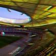 Stadium Bird’s Nest
